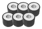 ET4 Variator Rollers Std 2000+ Models 19 x 17mm 8gr