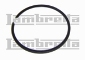 PISTON RINGS