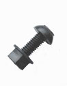 Black Plastic No: Plate Screw & Nut